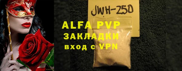 стаф Алексин