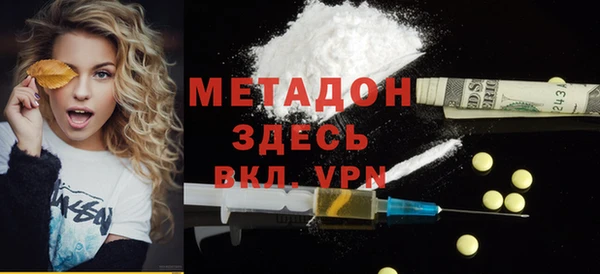 стаф Алексин