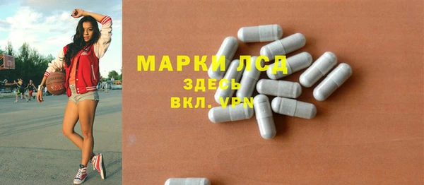 стаф Алексин