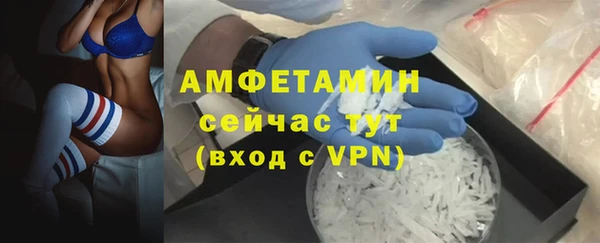 стаф Алексин