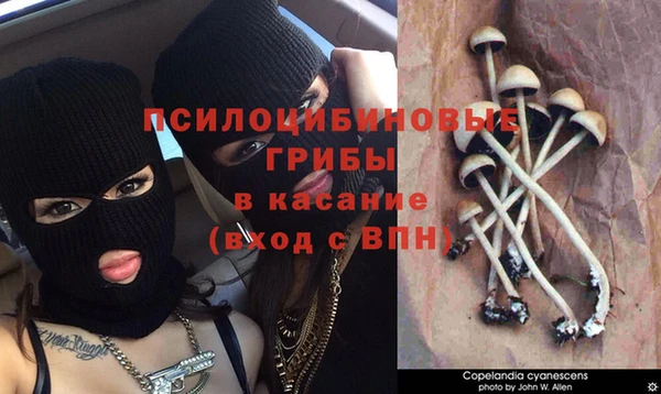 марихуана Алзамай