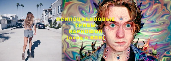 стаф Алексин