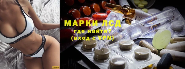 стаф Алексин